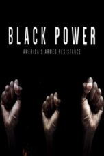 Black Power: America's Armed Resistance (2016)
