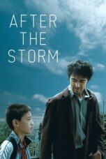 After the Storm (2016)