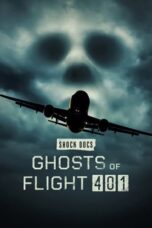 Ghosts of Flight 401 (2023)