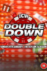 ICW: Double Down 2024 (2024)